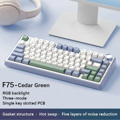 RGB Mechanical Gaming Keyboard